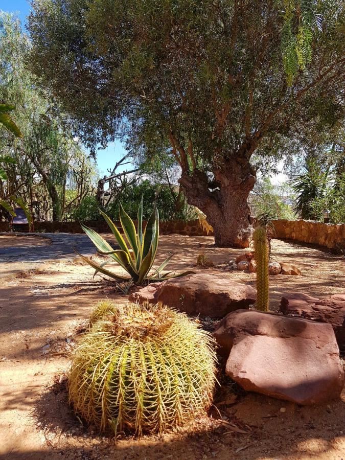 Gato Preto De Silves - Adults Only Bed & Breakfast ภายนอก รูปภาพ